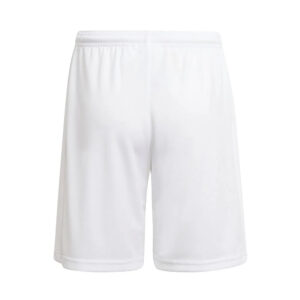 Polyester Shorts